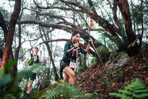 BIB: 
                            <button type="button" onclick="openModal(26296157)" class="btn btn-primary btn-sm float-right btn-popup" data-toggle="modal" data-target=".modal-high-quality">
                        <i class="fas fa-shopping-cart"></i> Add to Cart
                    </button>
                                            <button type="button" onclick="isThisMe(26296157, true)" class="btn btn-success btn-sm float-right btn-popup btn-isme hidden" data-toggle="tooltip" data-placement="bottom" title="นี่คือรูปของคุณใช่ไหม คลิกที่นี่เพื่อเอาเข้าอัลบั้ม">
                        <i class="fas fa-plus"></i> Add to album
                    </button>
                    <button type="button" onclick="isThisMe(26296157, false)" class="btn btn-warning btn-sm float-right btn-popup btn-isnotme hidden">
                        <i class="fas fa-ban"></i> Remove from album
                    </button>